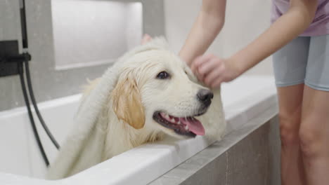 dog getting a bath in the bathroom