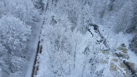 Conducción-De-Automóviles-En-La-Carretera-Por-El-Bosque-Cubierto-De-Nieve-Cerca-Del-Lago-Congelado-En-El-Pueblo-De-Deby,-Polonia