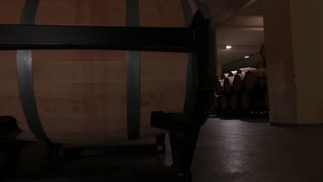 mujer visitando una bodega clásica-6