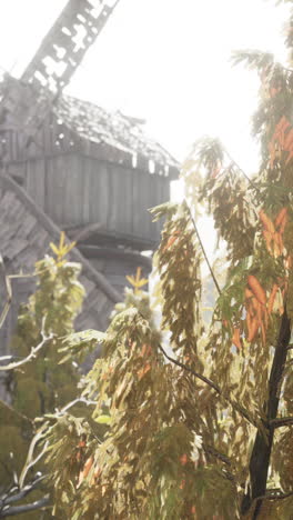 old wooden windmill in a foggy countryside