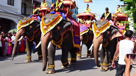 elephant parade festival in thailand