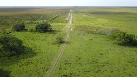 Feuchtgebiete-Im-Nordosten-Argentiniens,-Fotografiert-Mit-Drohne