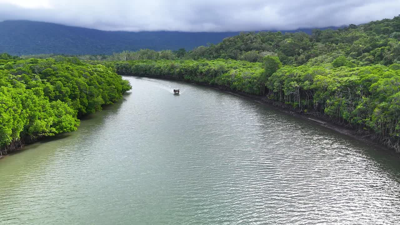 Aerial view of tour boat moving along winding mangrove river under cloudy daylight in rainforest