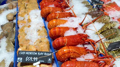 variety of seafood on ice at market