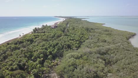 Narrow-jungle-peninsula