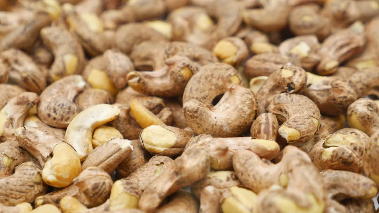 Anacardi