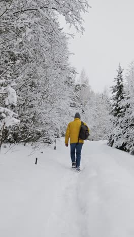 Persona-Caminando-En-El-Bosque