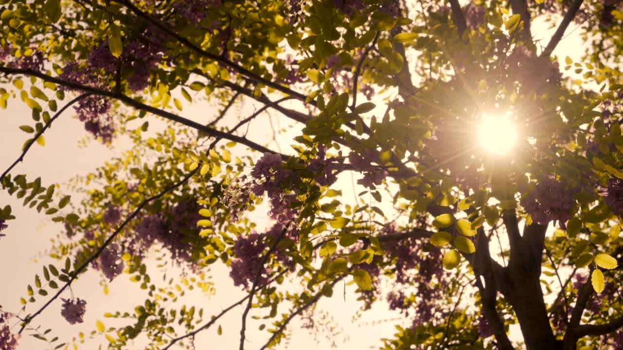 이스탄불은 봄처럼 아름다운 도시입니다.