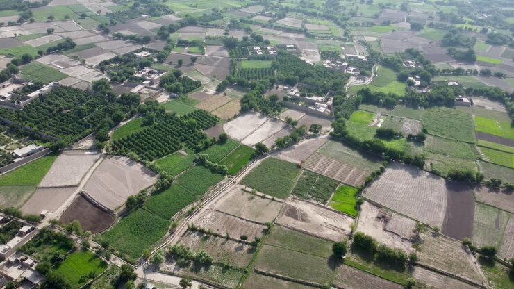 la diversidad y la belleza de las tierras de cultivo en afganistán