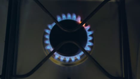 cocinero de gas de cocina con fuego de propano gas natural