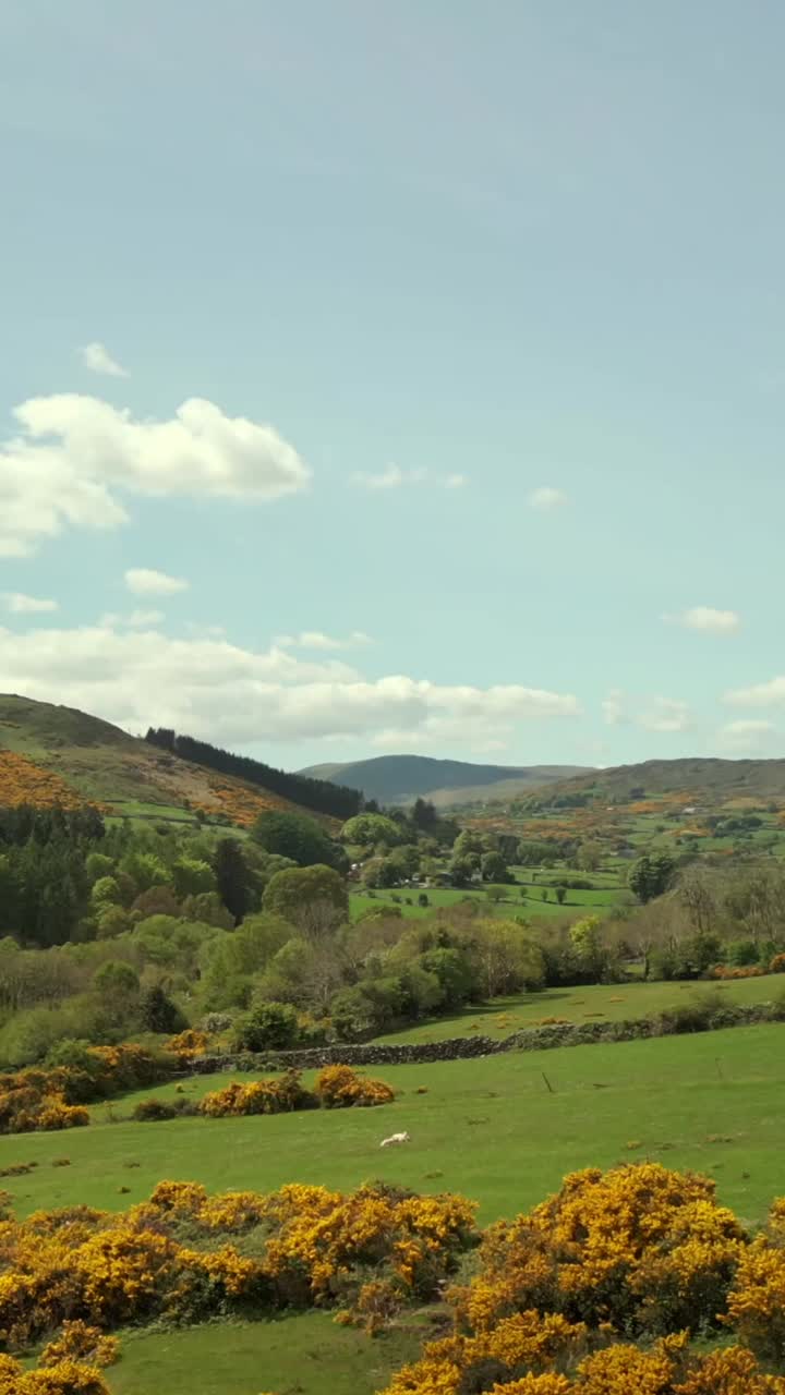 Low, forward travelling social ratio vertical video of the Mourne Mountains and Tollymore Forest in Newcastle, County Down in Northern Ireland. Produced in 1080x1920, 60fps and with Rec709 color
