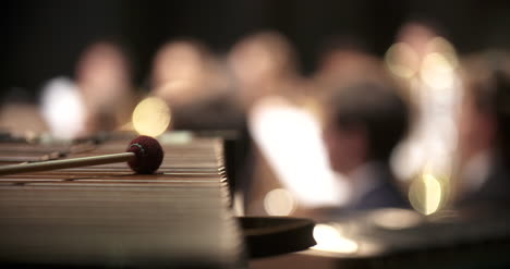 dulcimer musical instrument during the concert 1