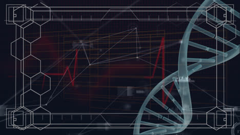 Animation-Wissenschaftlicher-Daten,-DNA-Und-Verbindungen-Auf-Schwarzem-Hintergrund