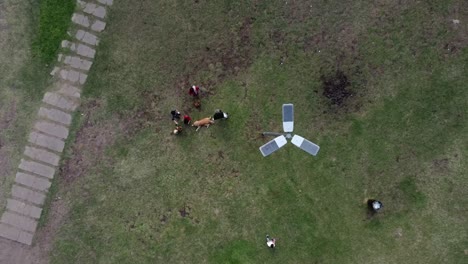 vista aérea de una familia que disfruta con su mascota en el parque