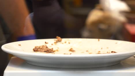 plato vacío y comida en un plato