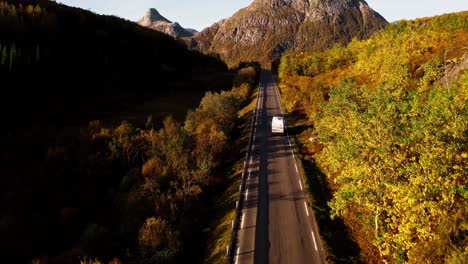 Luftaufnahme-Eines-Weißen-Wohnmobils-Auf-Der-Straße-Mit-Den-Goldenen-Farben-Des-Herbsts-In-Den-Bäumen,-Lofoten-Inseln,-Norwegen