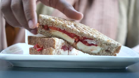 delicious tomato mozzarella sandwich