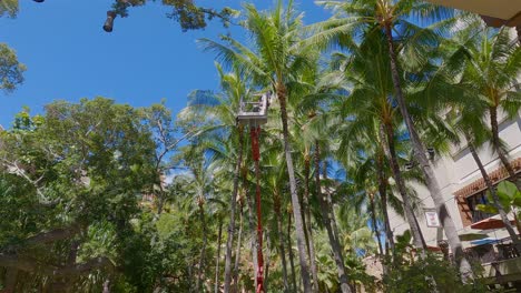 Tree-trimmers-working-in-a-taped-off-commercial-area