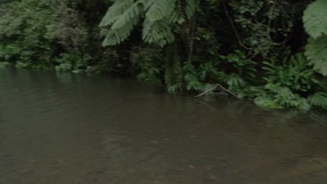 Scenic-Landscape-Of-Millaa-Millaa-Waterfall-In-Tablelands-Region,-Queensland,-Australia---panning