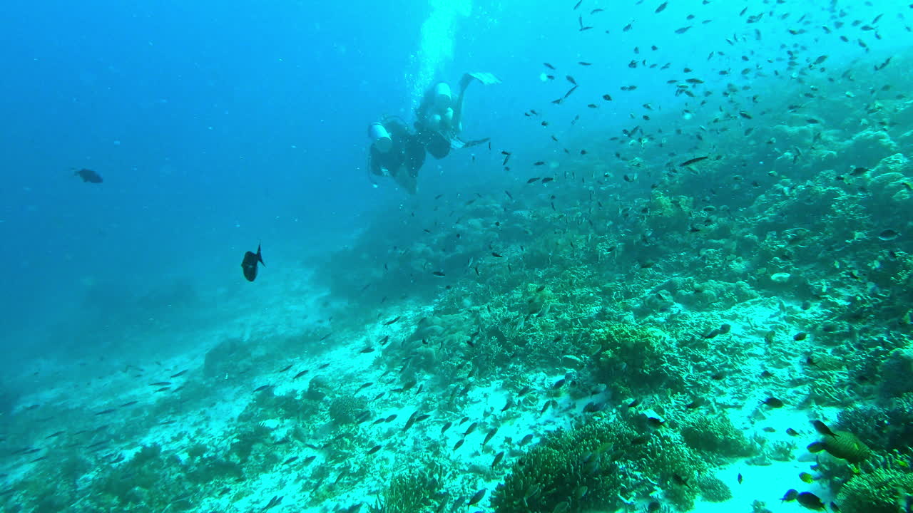 땅의 걱정을 남겨두세요.