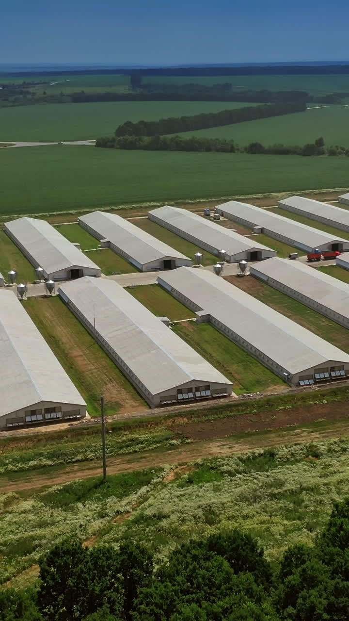 Premises of the poultry farm. Complex of white buildings poultry farm from a height. Vertical video
