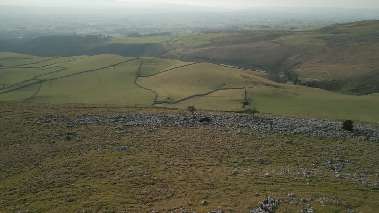 volando hacia viejos árboles en la ladera rocosa con vista de arriba hacia abajo, incluido el excursionista en la campiña inglesa en ingleton, yorkshire, reino unido
