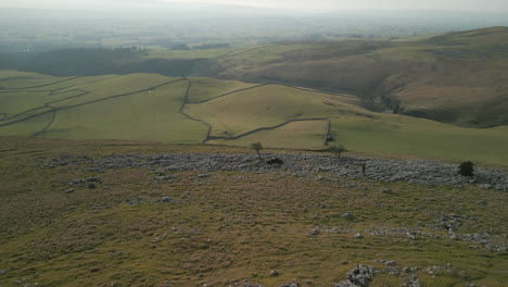 volando hacia viejos árboles en la ladera rocosa con vista de arriba hacia abajo, incluido el excursionista en la campiña inglesa en ingleton, yorkshire, reino unido