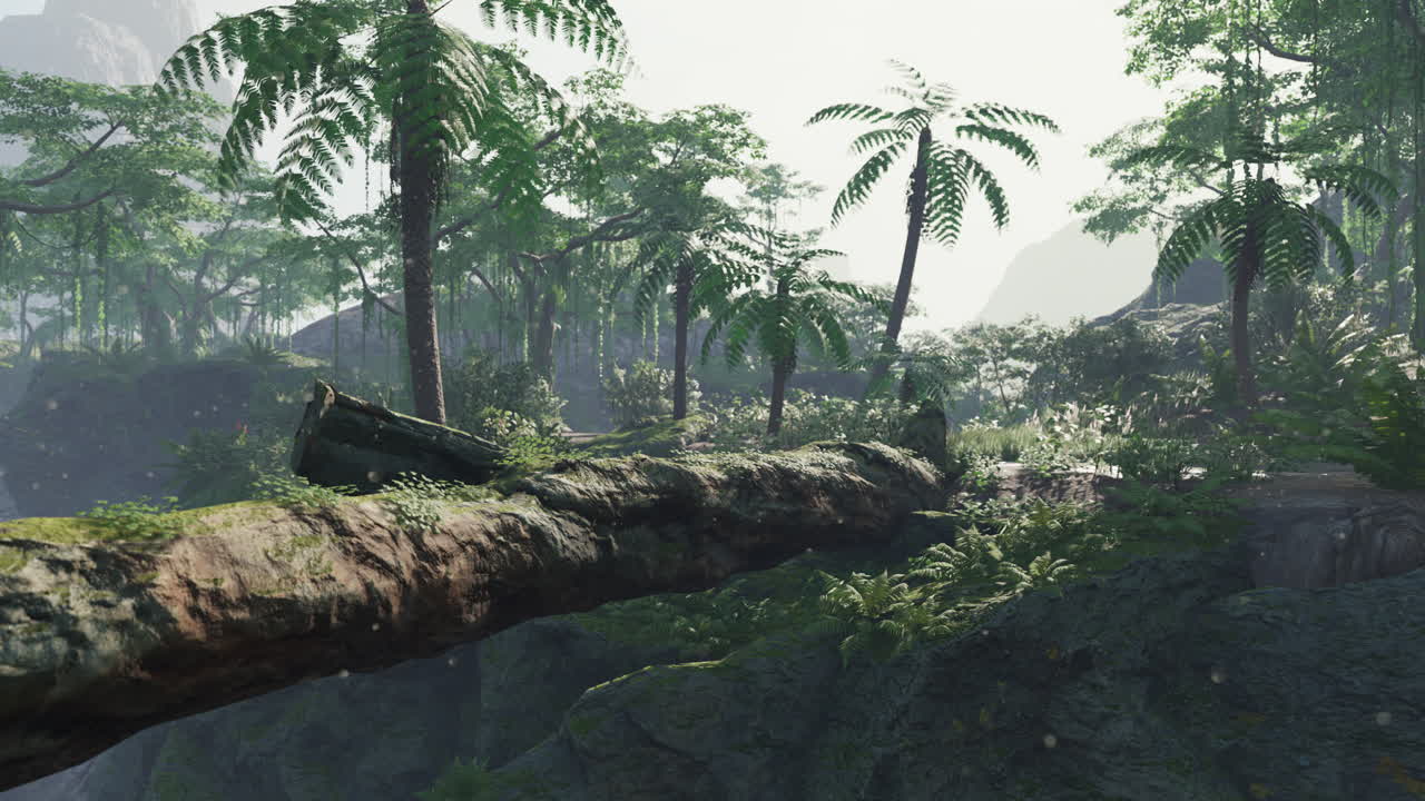 el rayo de sol brilla a través del bosque verde