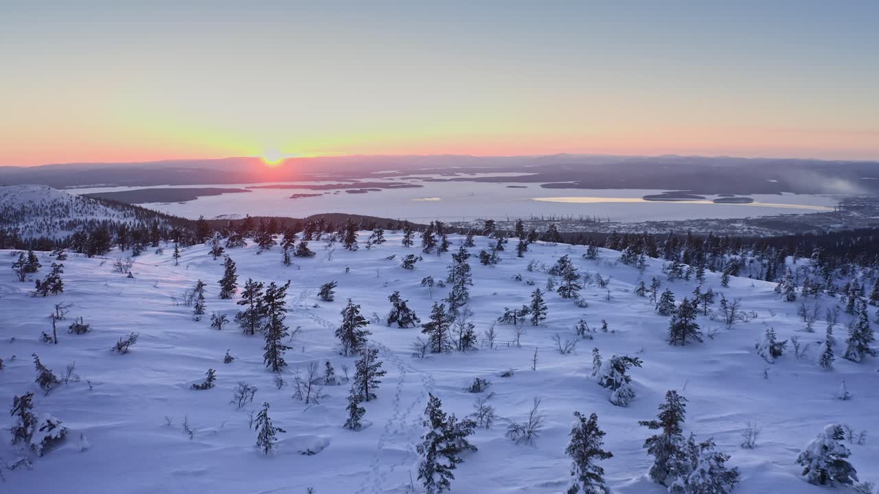 Flyr over snødekt glissen skog i en fjellside ved solnedgang.