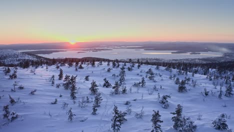 volando por encima de bosques dispersos cubiertos de nieve en la ladera de la montaña al atardecer