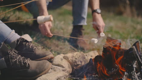 a group of young people warm marshmallows on a bonfire 1