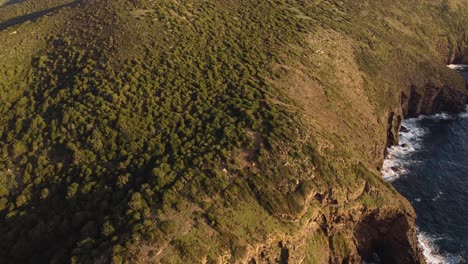 Impresionante-Vista-Aérea-De-La-Costa-De-Acantilados-Remotos-Cubiertos-De-Maquis-Mediterráneos