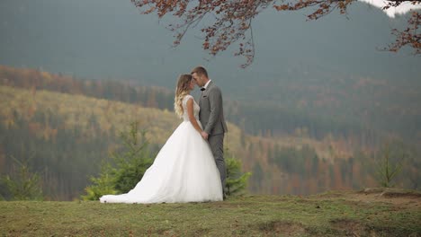 Lovely-young-newlyweds-bride-groom-embracing-on-mountain-slope,-holding-hands,-wedding-couple-family