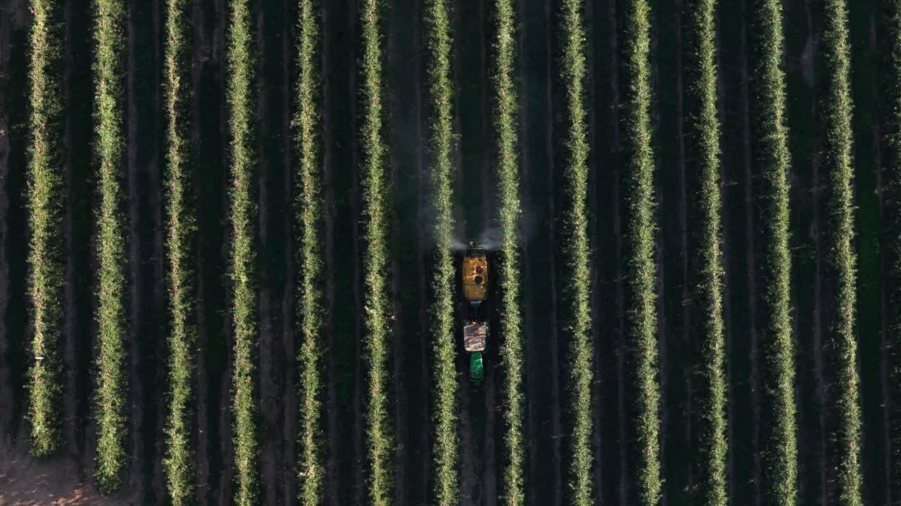 Tractor pulverizing pesticide on crop straight lines
