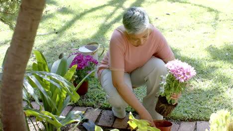 happy senior biracial woman planting flowers in sunny garden at home, slow motion