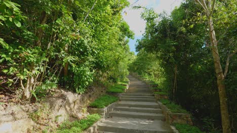 Gehen-Sie-Die-Steintreppe-Im-Wald-Hinauf-Zeitlupen-Gimbal-Push-In-4k