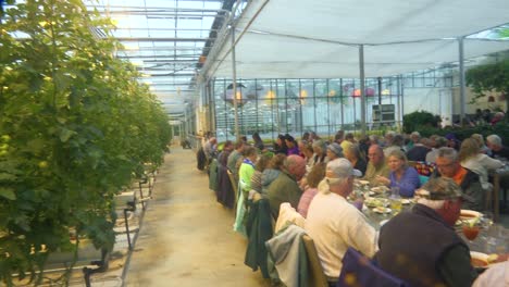 interior establishing shot of an iceland greenhouse using geothermal hot water to grow fruits and vegetables with tourists in dining room