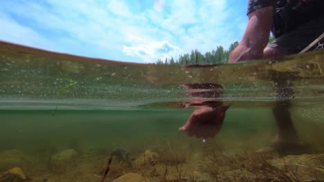 liberando una trucha asesina en un lago alpino con agua increíblemente clara