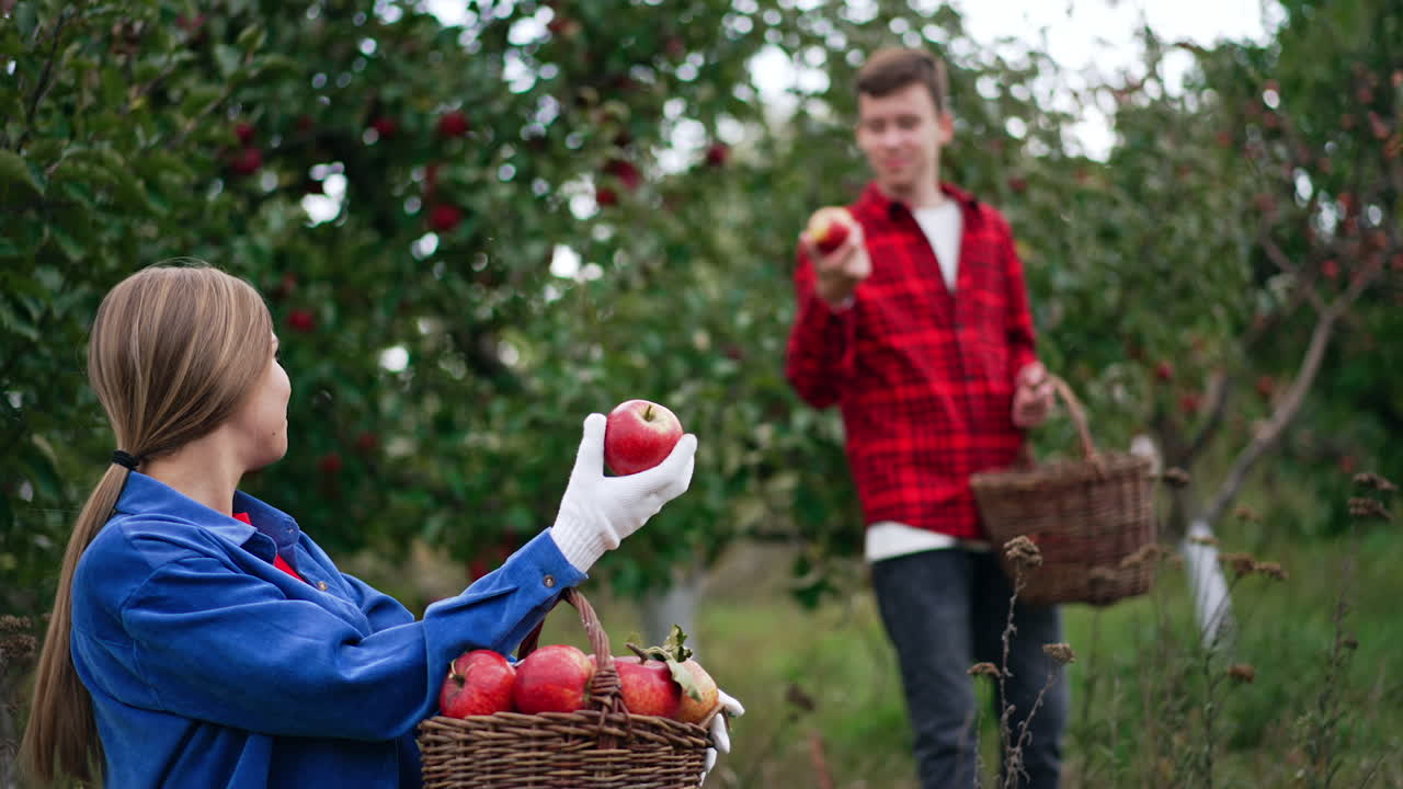 People enjoying and admiring big ripe red apples picked in the garden. Woman sits and holds a basked of fruit, taking some and showing to the boy at backdrop. Blurred background.