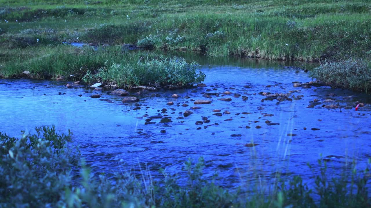 작은 바위와 돌 위로 흐르는 개울