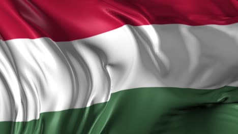 bandera húngara