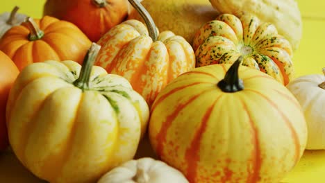 Pile-of-yellow-pumpkins