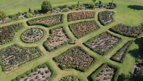 Friends-Hugging-Each-Other-In-Rose-Garden---Beautiful-Flower-Beds-In-Summertime---Centennial-Park,-NSW,-Australia