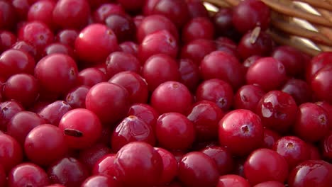 big cranberries wrapped in a basket