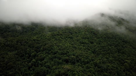 concepto logístico vista aérea de la carretera rural que pasa por la serena y exuberante vegetación y el follaje del bosque tropical lluvioso paisaje montañoso