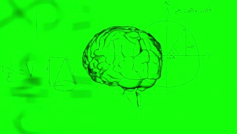 Animation-Mathematischer-Gleichungen-Und-Diagramme-über-Dem-Menschlichen-Digitalen-Gehirn-Vor-Grünem-Hintergrund