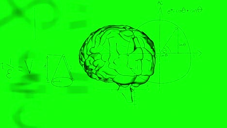 animation of mathematical equations and diagrams over human digital brain against green background