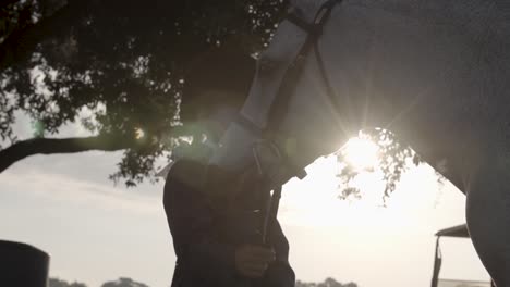 Slow-motion,-close-up-of-girl-and-her-horse-with-lens-flare