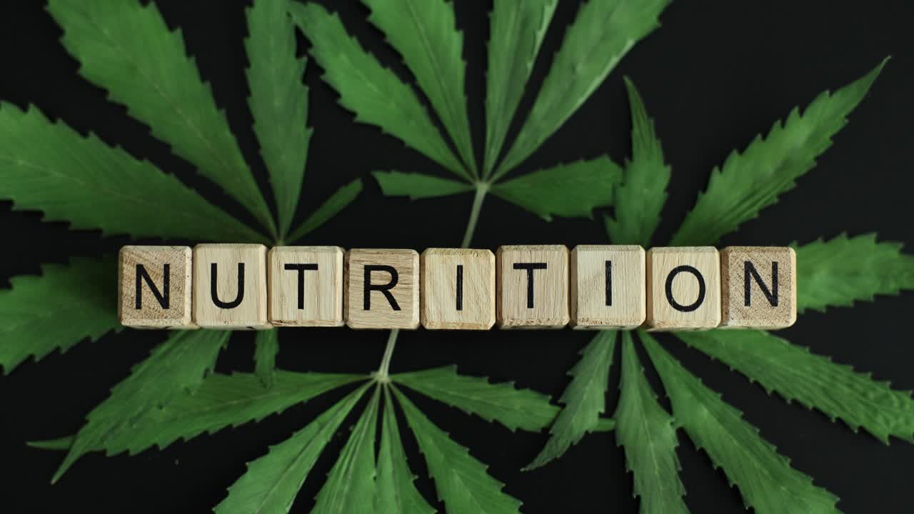 Nutrition Blocks with Cannabis Leaves Background