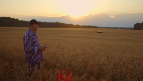 an elderly male agronomist in a field of grain crops flies a drone using a joystick controller. an elderly man and modern technology.